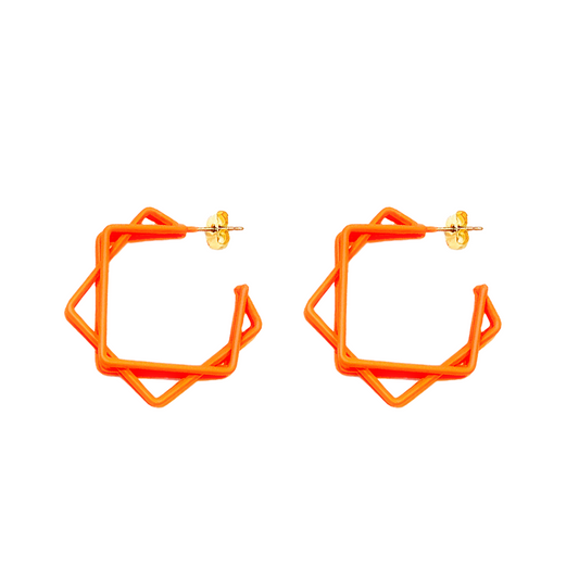 Colour Frame Layered Earrings